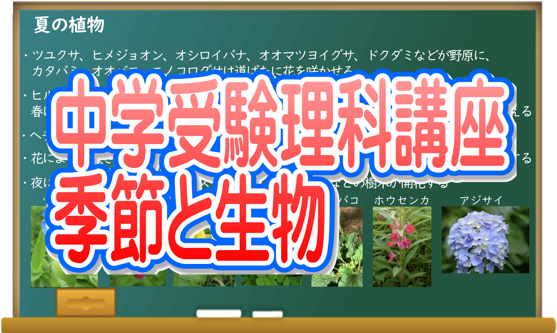 中学受験理科講座 季節と生物