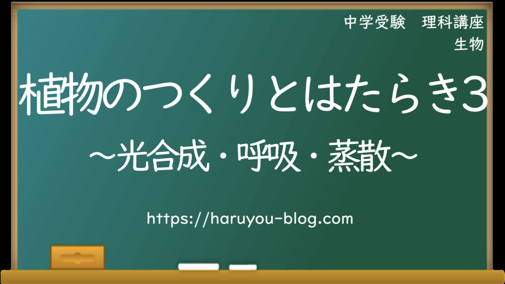 中学受験理科講座 植物のつくりとはたらき 3 光合成 呼吸 蒸散